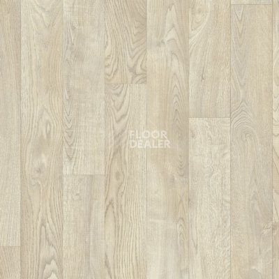 Линолеум Juteks Pietro WHITE OAK 116S фото 1 | FLOORDEALER